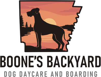 Boone's Backyard logo - transparent background pet resort mill hall pa